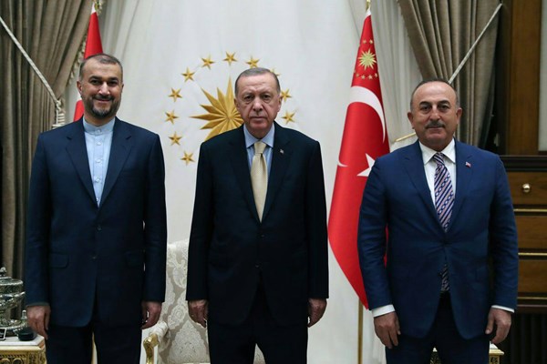 امیرعبداللهیان با اردوغان دیدار کرد