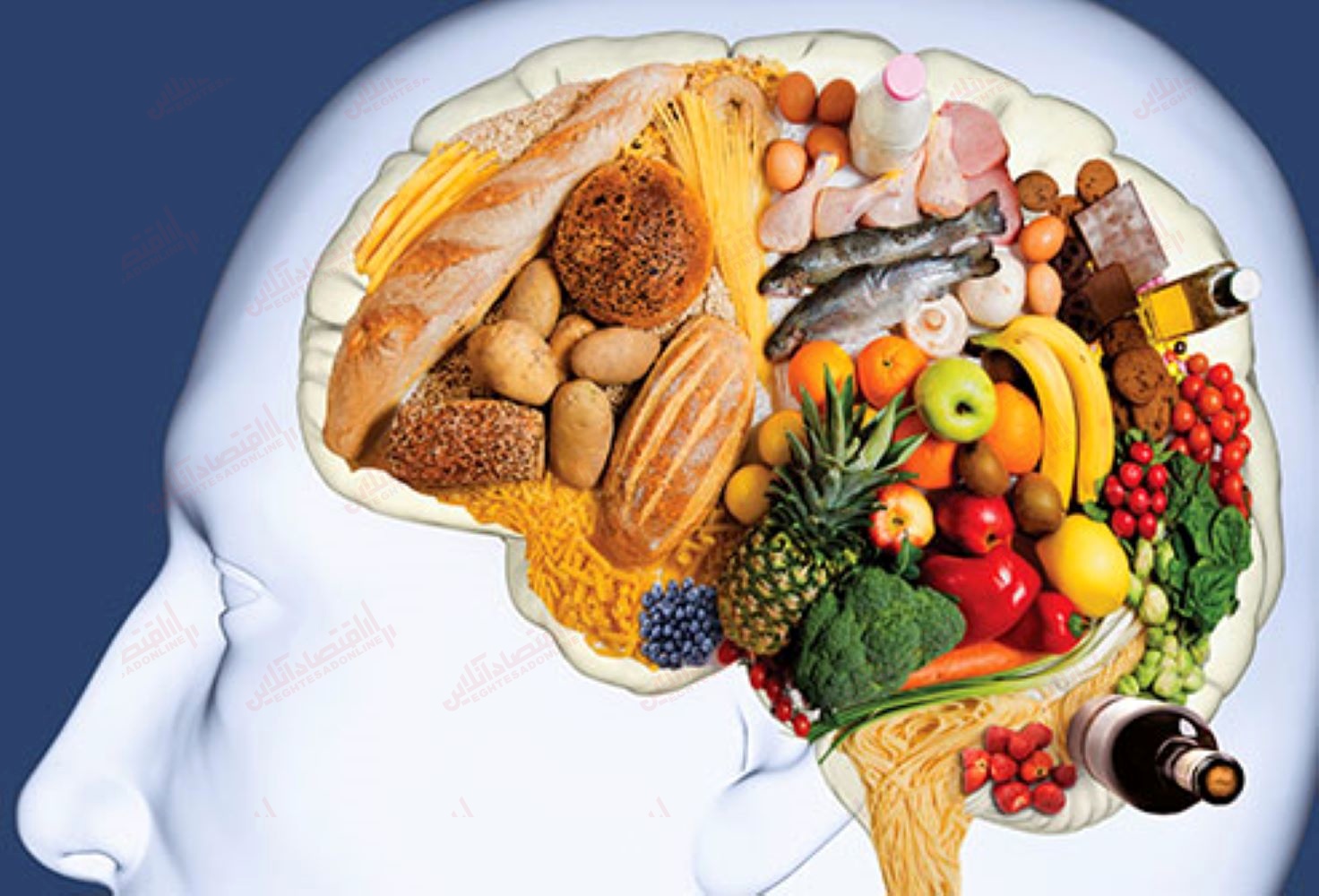 مواد غذایی تقویت حافظه و مغز