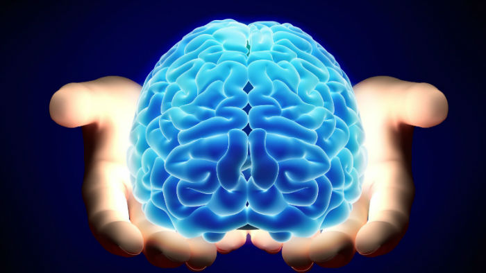 هوشیاری مغز بعد از مرگ واقعیت دارد؟